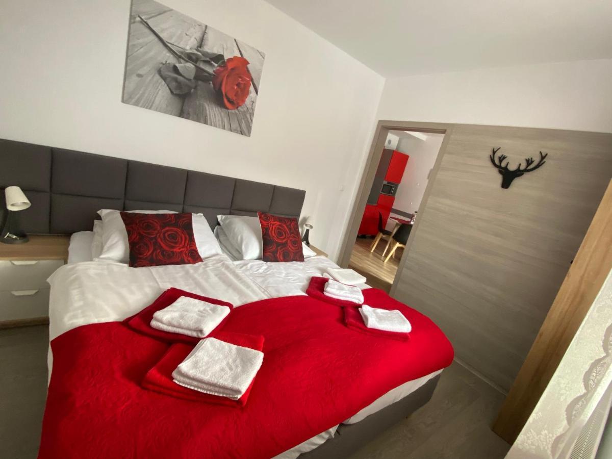Apartamenty Pod Rudka Czarna Gora Agroturystyka Sienna  Exterior foto