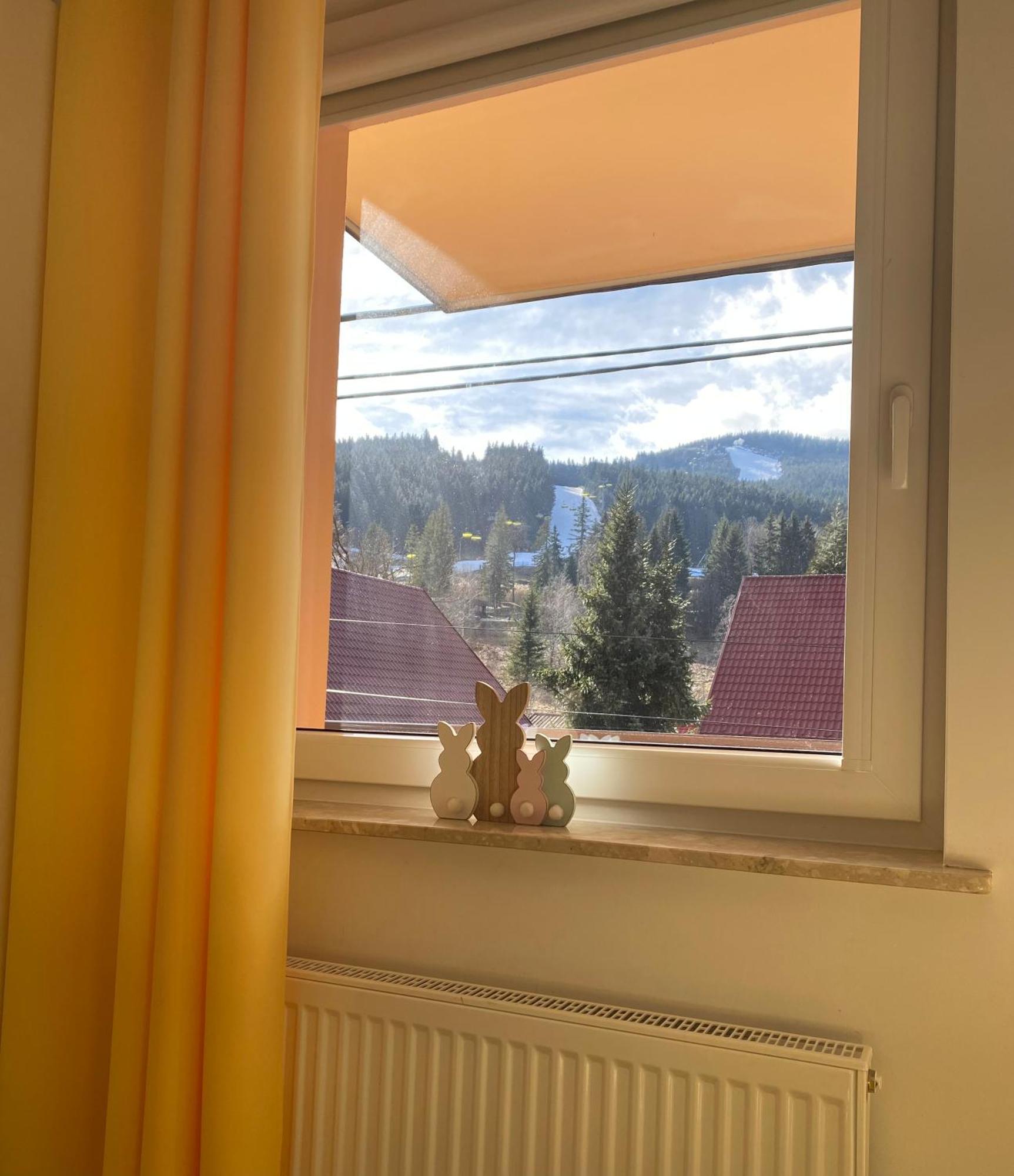 Apartamenty Pod Rudka Czarna Gora Agroturystyka Sienna  Exterior foto